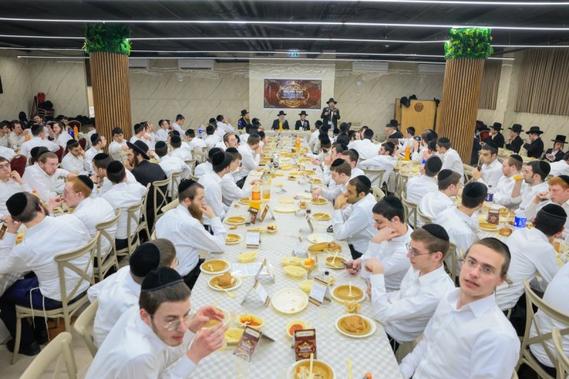 אלעזר פיינשטיין