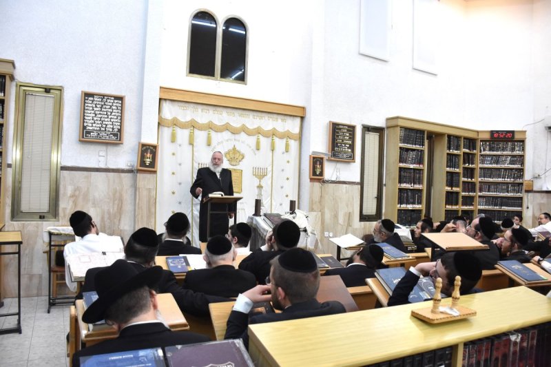 יהודה פרקוביץ