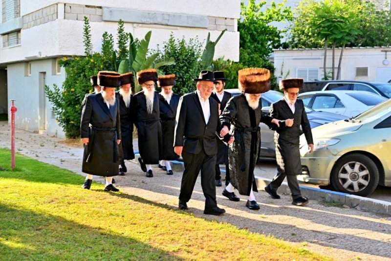 יהושע פרוכטר