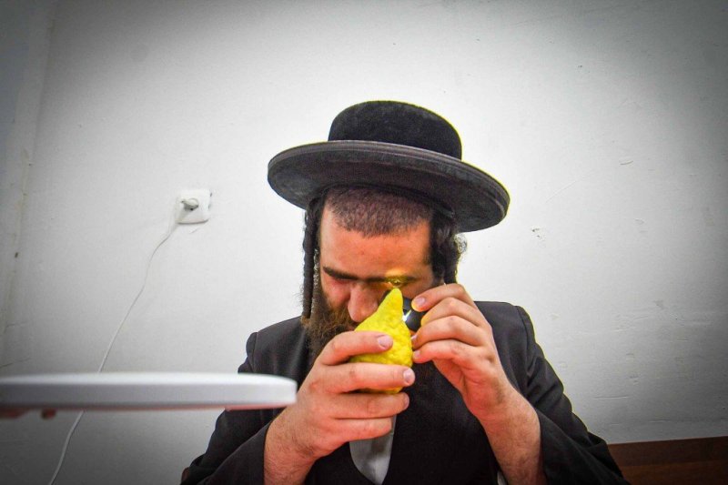 ארי קופרשטוק