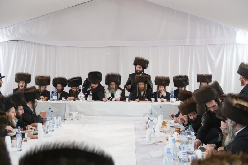 מ.א נוימן