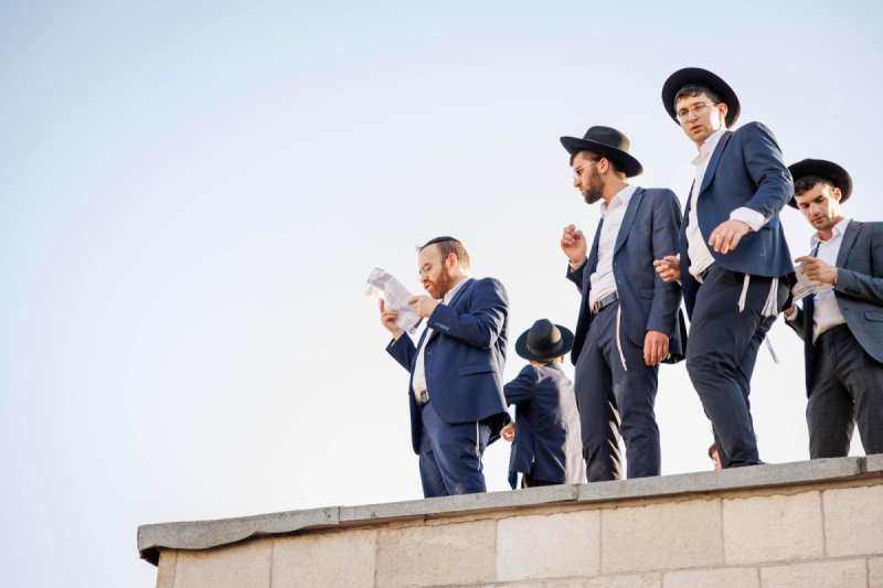 דניאל נפוסי ודוד מנדלסון