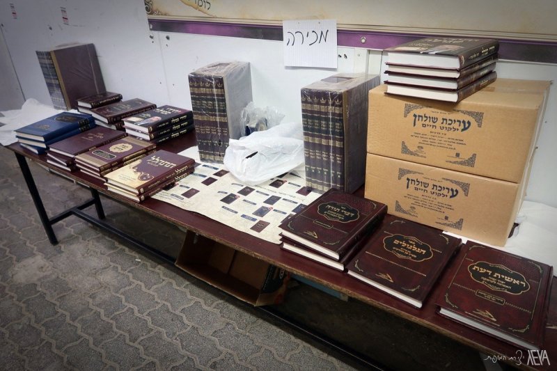 אלנתן אלוני