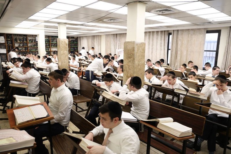 נתי פרל