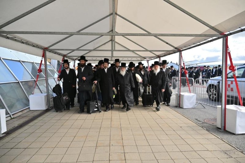 יהושע פרוכטר