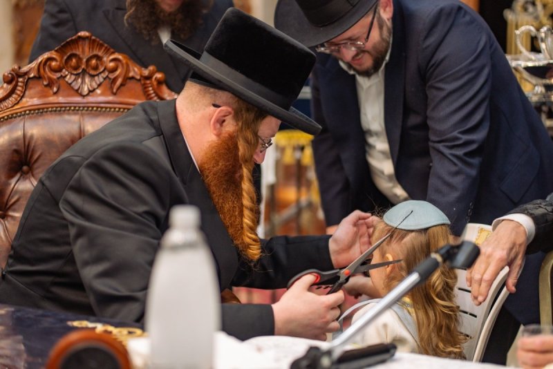 אלקנה קליין