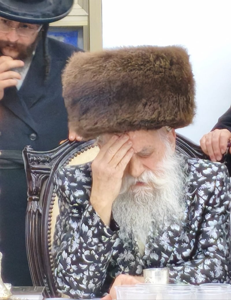 מאיר פרידמן