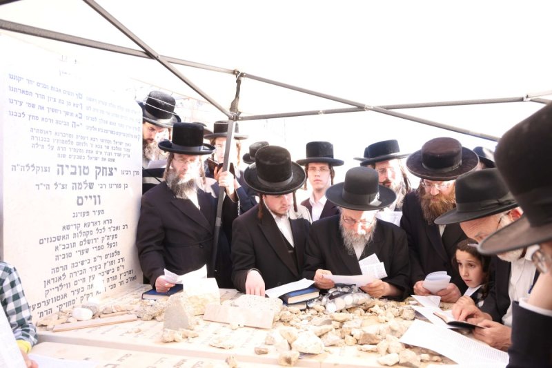 שמואל דריי