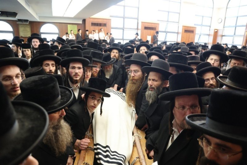 שלומי טריכטר