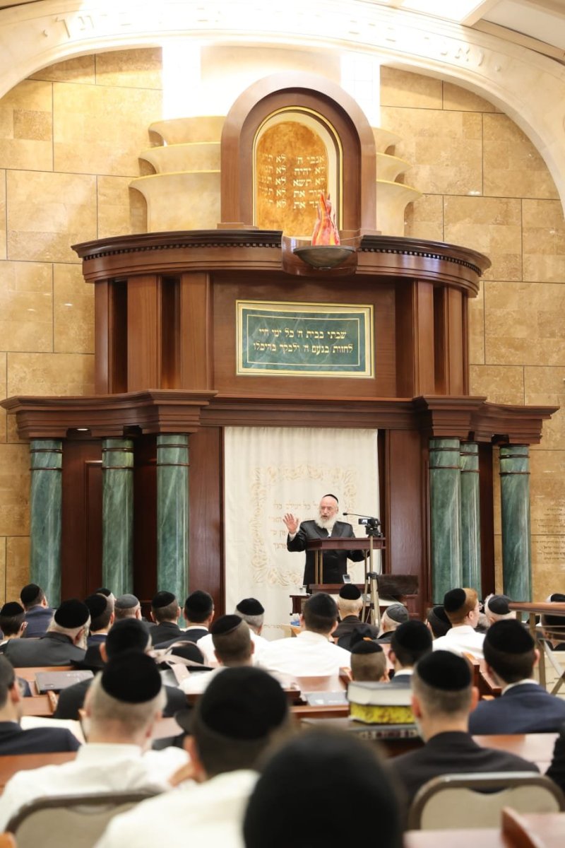 שלומי טריכטר