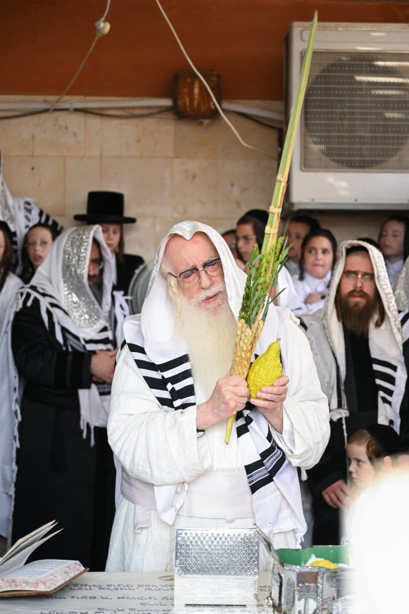 משה גולדשטיין