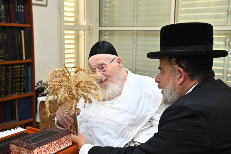 שוקי לרר