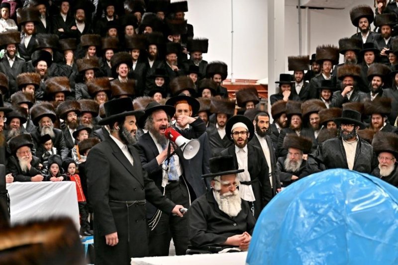 יהושע פרוכטר