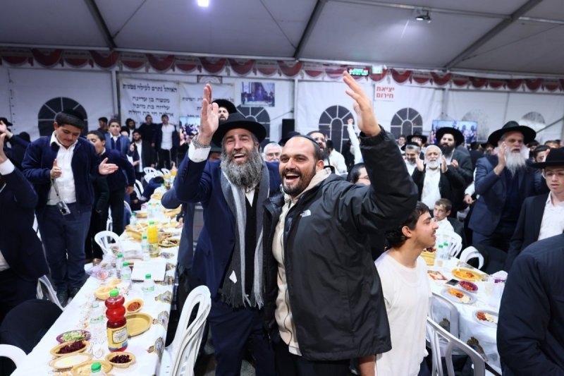 ים לביא
