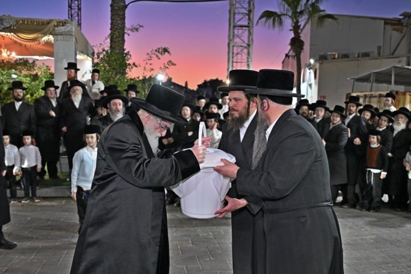 יהושע פרוכטר