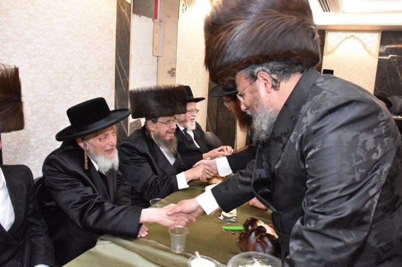 יהודה פרקוביץ