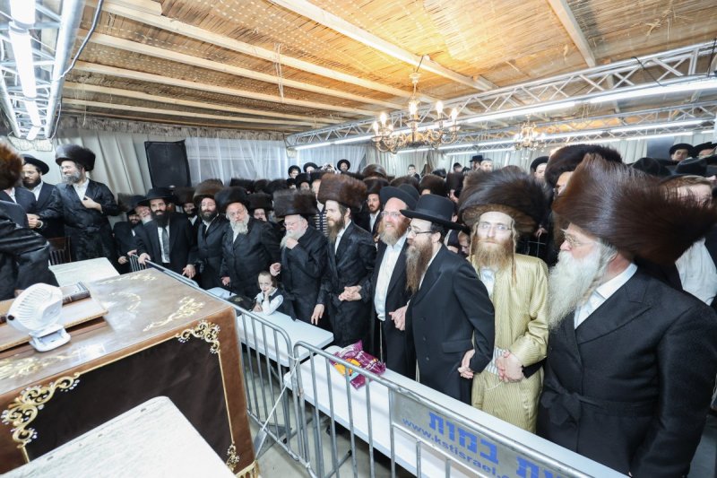 א. אייזנבאך