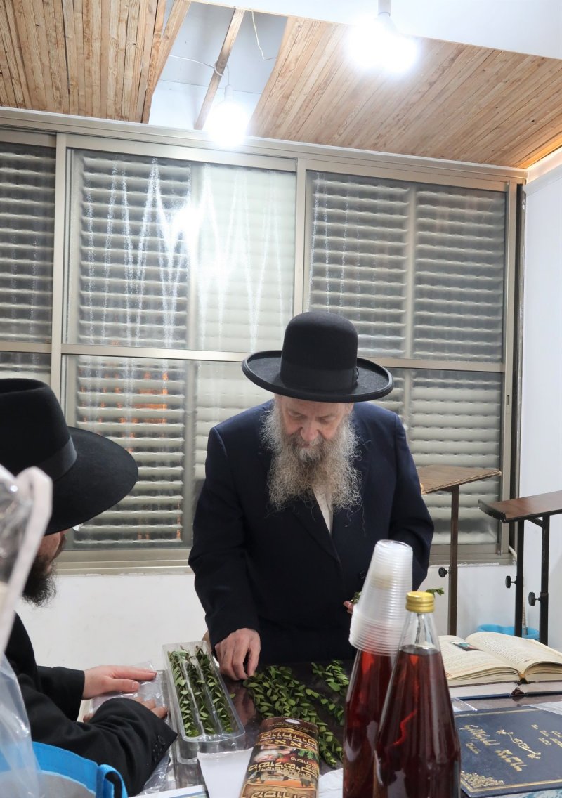 י. פריד