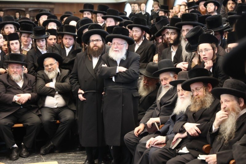 שלומי טריכטר