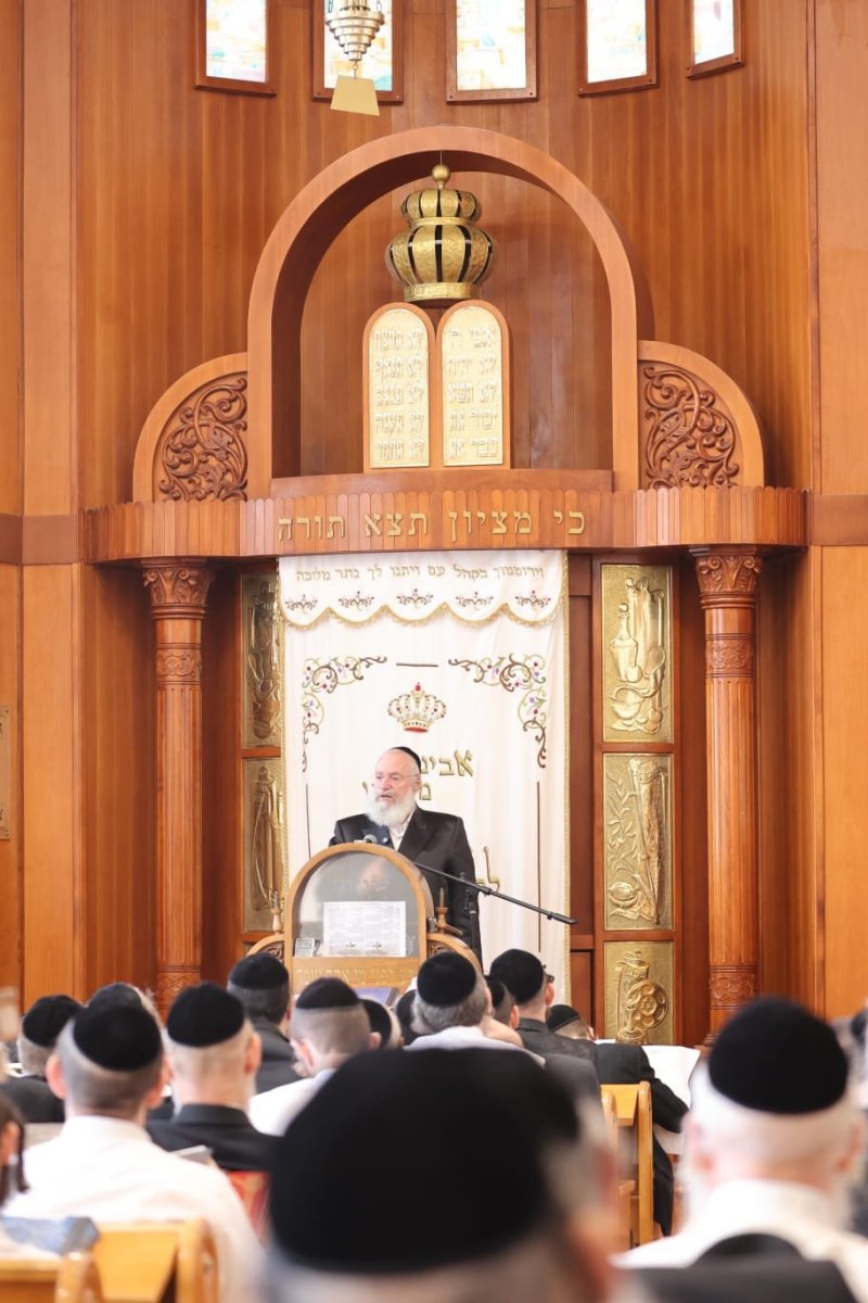 שלומי טריכטר