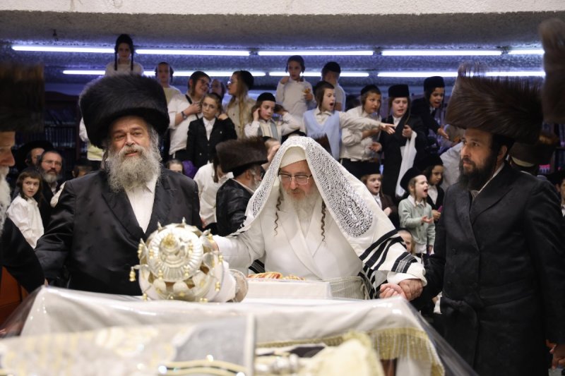 נתי אמרגי