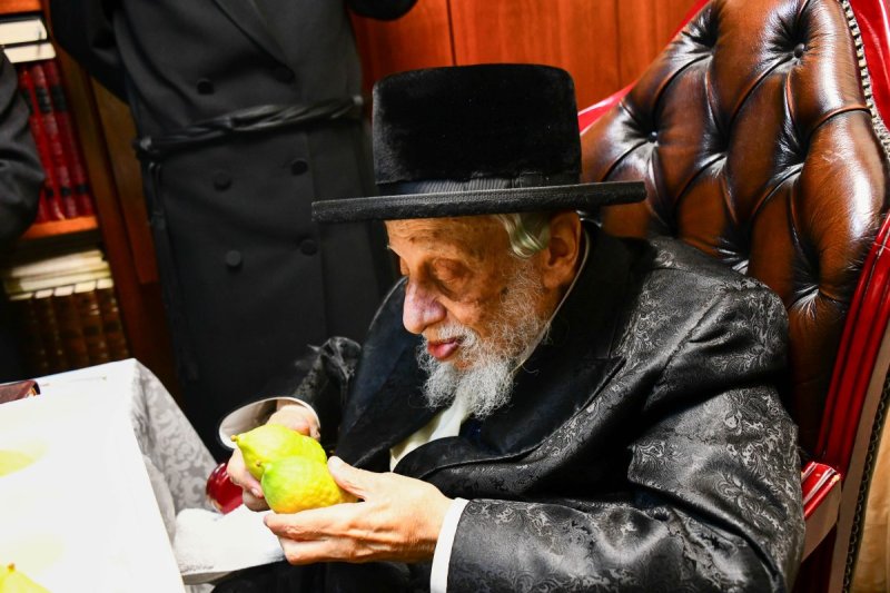 שוקי לרר