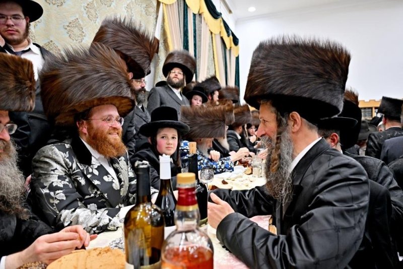 יהושע פרוכטר