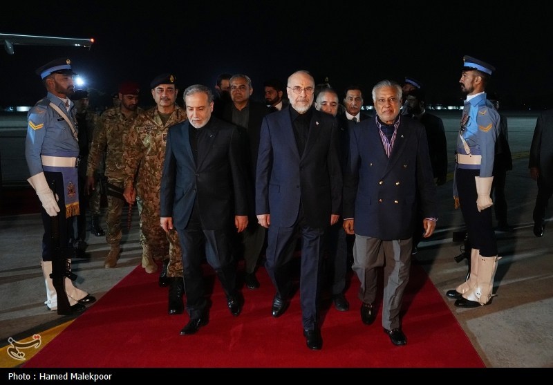 סוכנות תסנים