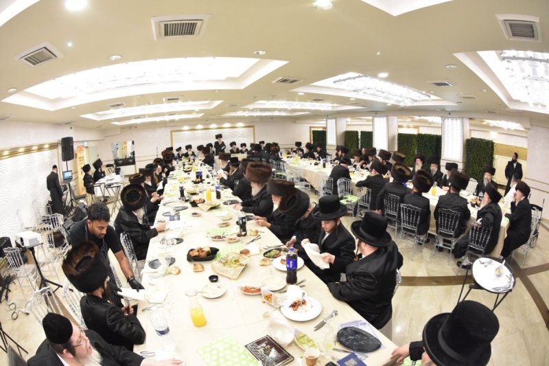 יהודה פרקוביץ