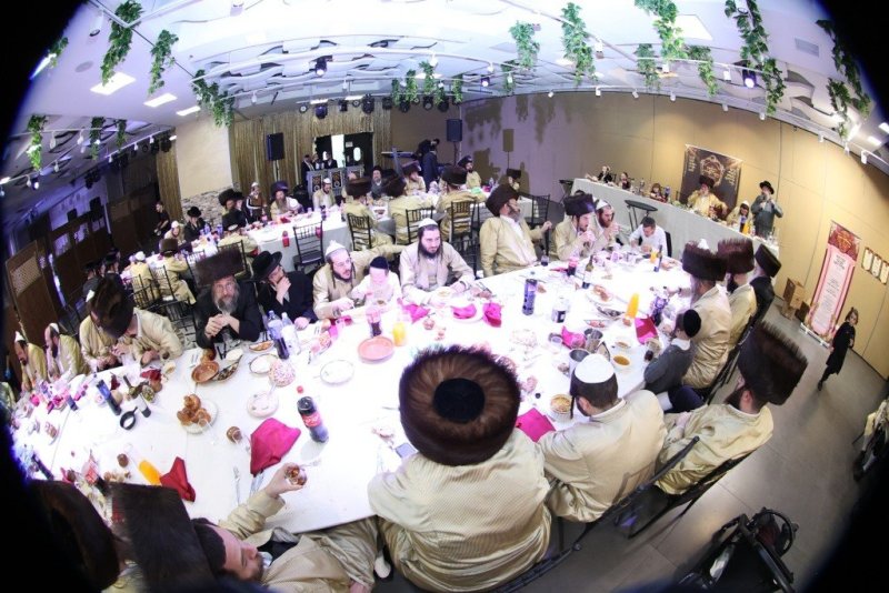 שלומי טריכטר