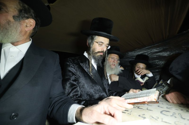 דוד ארזני