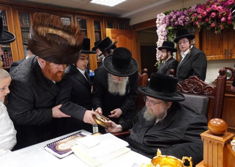 שלומי כהן