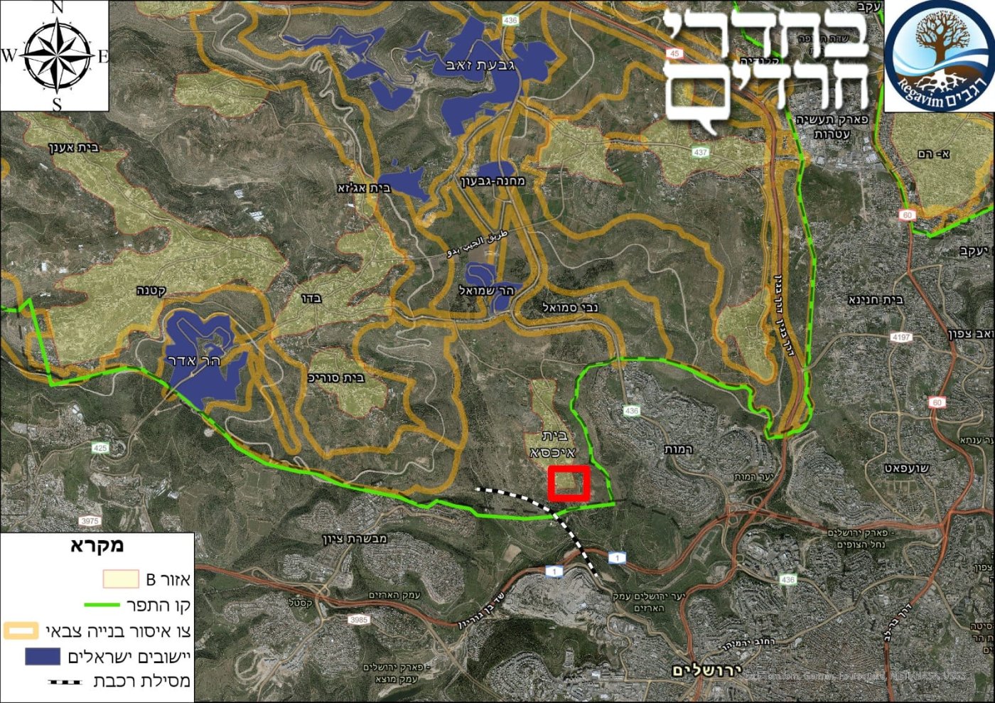 תנועת רגבים