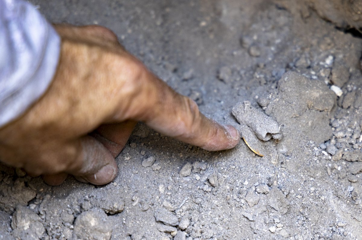 מיכאל איזנברג