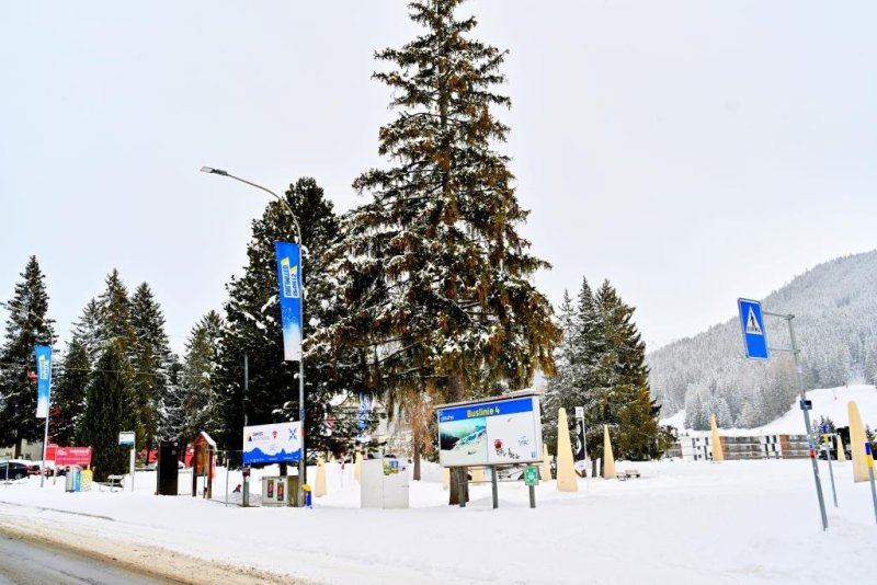 יהושע פרוכטר