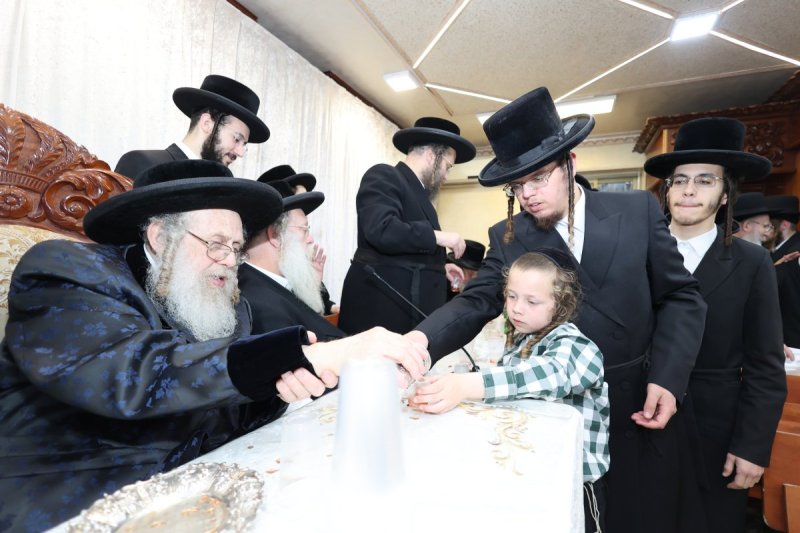 שלומי טריכטר