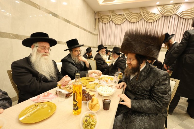 נתי אמרגי