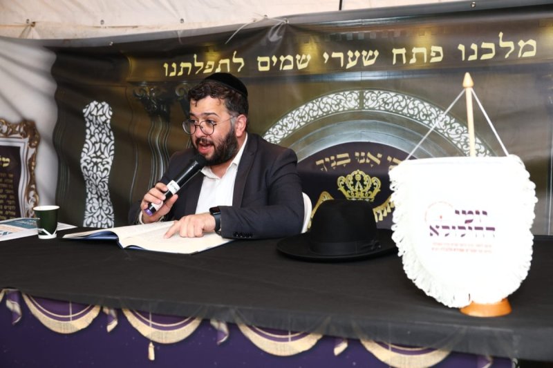 אלחנן קוטלר