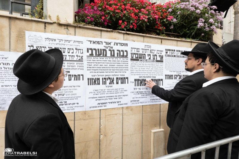 עזרא טרבלסי