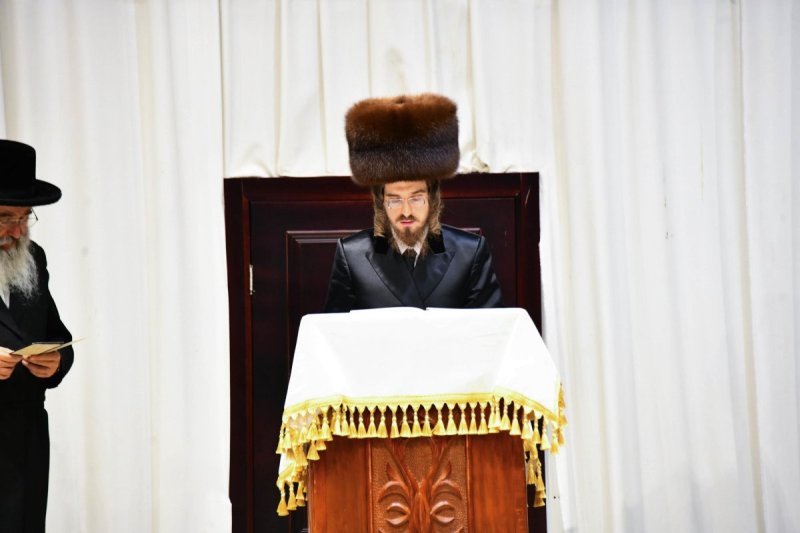 שוקי לרר