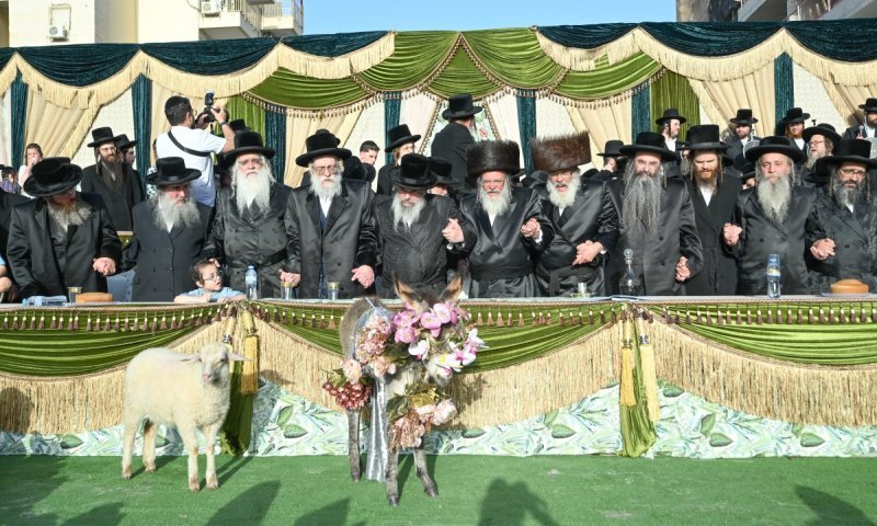 בית שמש לא ראתה מעמד כזה שנים: פדיון פטר חמור כפול ברחובה של עיר