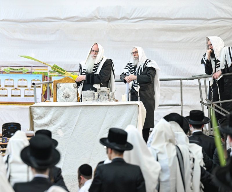 משה גולדשטיין