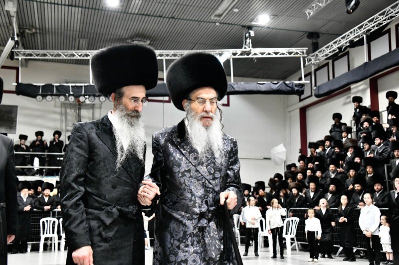 שוקי לרר