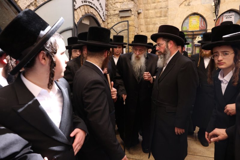 דוד כהן