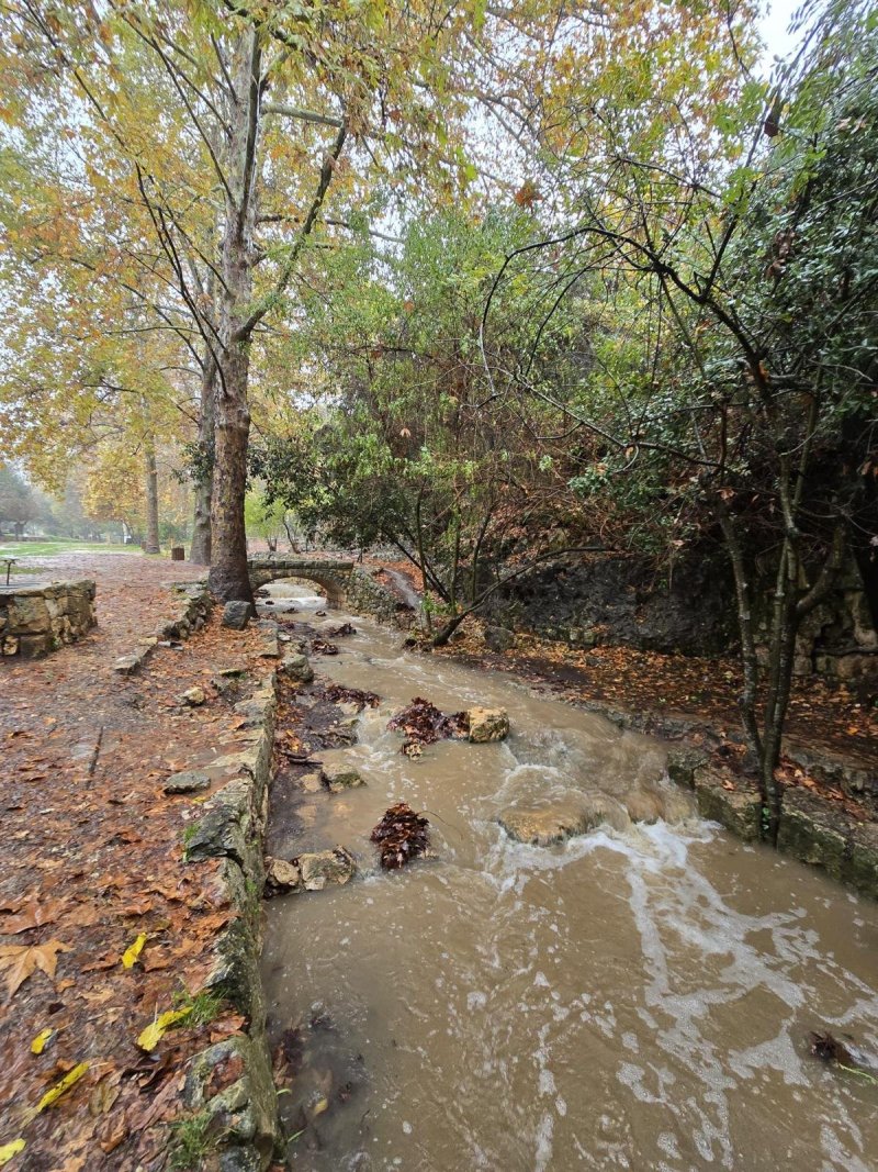 גיא אל בוחר רשות הטבע והגנים