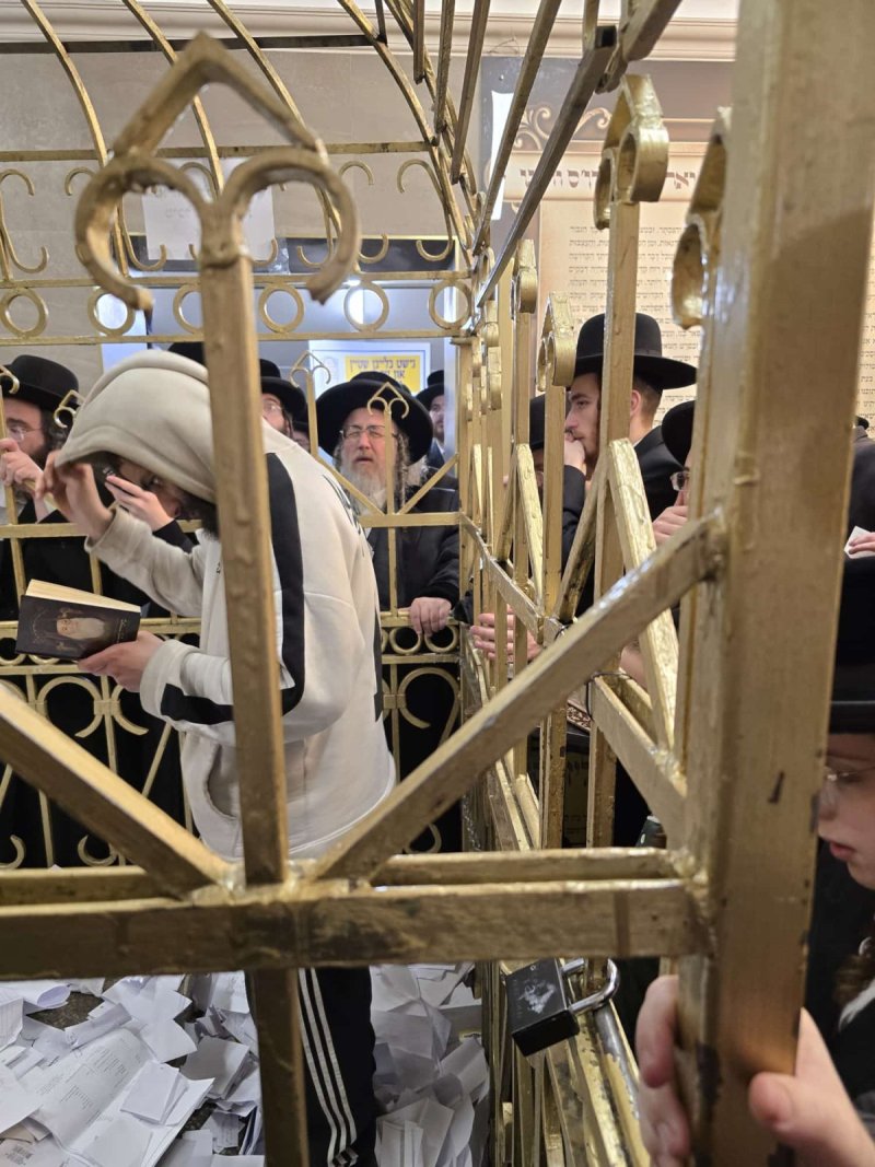 באדיבות המצלם