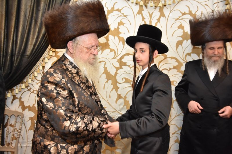 יהודה פרקוביץ