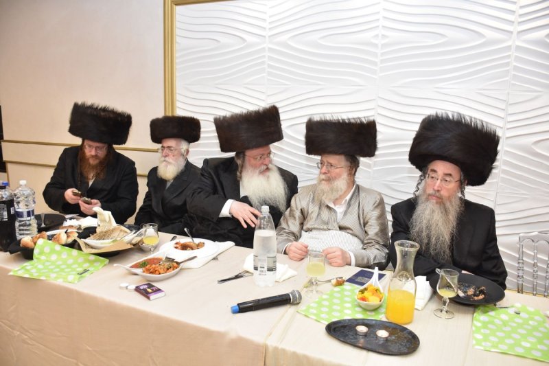 יהודה פרקוביץ