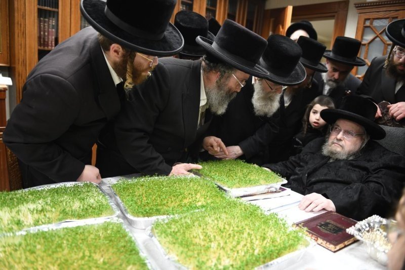 אנשיל בעק וא.מ.ש