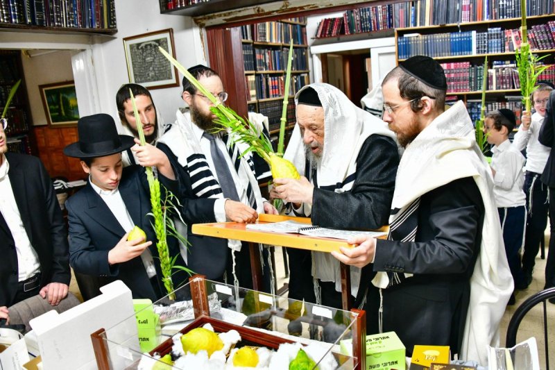 שוקי לרר